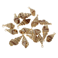 Trompette Shell pendentif en laiton, coquille de trompette, hélice, Placage de couleur d'or, tacheté, 16-36x1.7-27mm, Vendu par PC