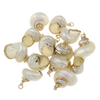 Trompette Shell pendentif en laiton, coquille de trompette, avec laiton, Placage de couleur d'or, blanc Environ 2mm, Vendu par PC