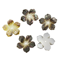 Perles de coquillage noir Lip, coquille noire, fleur Environ 1mm, Vendu par PC