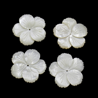 Perles de coquillages blancs, Lèvre blanche, fleur Environ 1.5mm, Vendu par PC