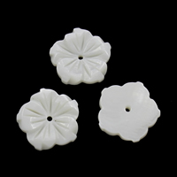 Cuentas de Concha de Labio Blanco, Concha de agua dulce, Flor, 20x3mm, agujero:aproximado 1mm, Vendido por UD