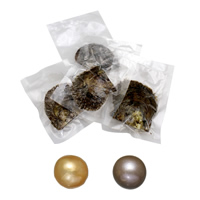 Ostra de la perla de agua dulce cultivadas amor deseo, Perlas Cultivadas de Akoya, Patata, Madre Perla, más colores para la opción, 10-11mm, Vendido por UD