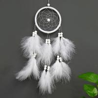 Fashion Dream Catcher, Plastic, with Feather & Nylon Cord & Wood, Tassel 