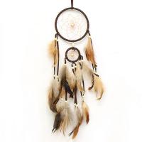 Fashion Dream Catcher, Plastic, with Feather & Nylon Cord & Wood, Tassel 