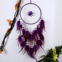 Fashion Dream Catcher, Iron, with Feather & Nylon Cord & Wood, Tassel 