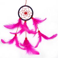 Fashion Dream Catcher, Plastic, with Feather & Nylon Cord & Wood, Tassel, 300mm 