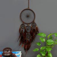 Fashion Dream Catcher, Plastic, with Feather & Nylon Cord & Wood, Tassel 