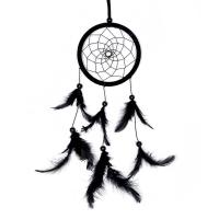 Fashion Dream Catcher, Plastic, with Feather & Nylon Cord & Wood, Tassel, 450-500mm 