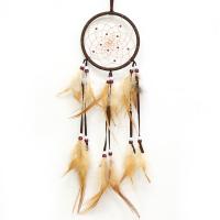 Fashion Dream Catcher, Plastic, with Feather & Nylon Cord & Wood, Tassel, 500-550mm 