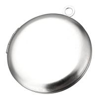 acier inoxydable Pendentif médaillon, Plat rond, couleur originale Environ 2mm, Diamètre inté Environ 21mm, Vendu par PC[