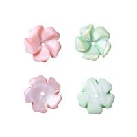 天然白いシェル・ビーズ, 白い貝, 花形, 無色 穴:約 1mm, 売り手 パソコン