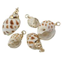 coquille de trompette Pendentif, avec laiton, conque, Placage de couleur d'or 9- Environ 2mm, Vendu par PC