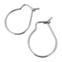 Stainless Steel Hook Earwire, original color 