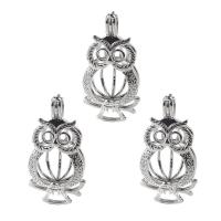 laiton Locket Flottant, hibou, Placage de couleur platine, pour perles 6mm & Il pourrait être ouvert et des perles pourraient être mises à l’intérieur. & creux, protéger l'environnement, sans nickel, plomb et cadmium Environ 2-3mm, Vendu par PC