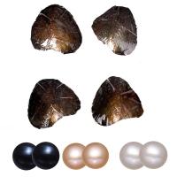 Ostra de la perla de agua dulce cultivadas amor deseo, Perlas cultivadas de agua dulce, Patata, Madre Perla & Twins Wish Pearl Oyster, más colores para la opción, 7-8mm, Vendido por UD