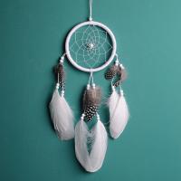 Fashion Dreamcatcher, Feder, mit Baumwollfaden & Baumwollsamt & Holz & Kunststoff & Eisen, keine, 115x360mm, verkauft von PC