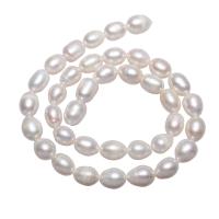 Rice Cultured Freshwater Pearl Beads, natural, white, 8-9mm Approx 0.8mm Approx 15 Inch 