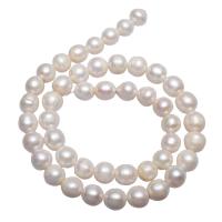 Perle comme Pommes de terre perles d'eau douce, perle d'eau douce cultivée, pomme de terre, naturel, blanc, 9-10mm Environ 0.8mm Environ 15.7 pouce, Vendu par brin