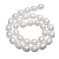 Perle comme Pommes de terre perles d'eau douce, perle d'eau douce cultivée, pomme de terre, naturel, blanc, 11-12mm Environ 0.8mm Environ 15.7 pouce, Vendu par brin