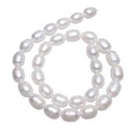 Rice Cultured Freshwater Pearl Beads, natural, white, 10-11mm Approx 0.8mm Approx 15 Inch 