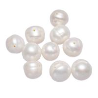 Perle comme Pommes de terre perles d'eau douce, perle d'eau douce cultivée, pomme de terre, naturel, blanc, 10-11mm Environ 0.8mm, Vendu par PC