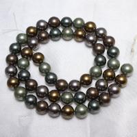 South Sea Shell Beads, Round 