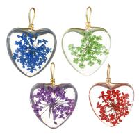 Pendant de cuivre de verre, laiton, avec Fleurs séchées & verre, coeur, Placage de couleur d'or, plus de couleurs à choisir Environ Vendu par PC