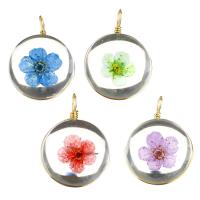 Pendant de cuivre de verre, laiton, avec Fleurs séchées & verre, Plat rond, Placage de couleur d'or, plus de couleurs à choisir Environ Vendu par PC