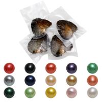 Ostra de la perla de agua dulce cultivadas amor deseo, Perlas cultivadas de agua dulce, Esférico, Madre Perla, color mixto, 7-8mm, 50PCs/Grupo, Vendido por Grupo