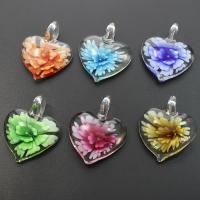 Inner Flower Lampwork Pendants, Heart, mixed colors Approx 8mm 