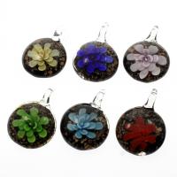 Pendentifs Murano fleur intérieur, chalumeau, Plat rond, sable d'or & fleur intérieure, couleurs mélangées Environ 9mm îte, Vendu par boîte