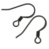 Stainless Steel Hook Earwire, black Approx 2mm 