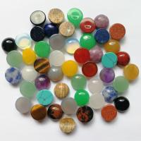 Gemstone Cabochons, polished 10mm 