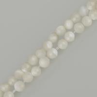 Natural White Shell Beads, white Approx 1mm Approx 15.5 Inch, Approx 