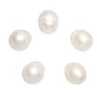 Perle comme Pommes de terre perles d'eau douce, perle d'eau douce cultivée, pomme de terre, naturel, blanc - Environ 0.8mm, Vendu par PC