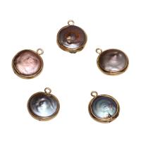 perle d'eau douce cultivée Pendentif, avec laiton, Plat rond, Placage de couleur d'or - Environ 1.8mm, Vendu par PC