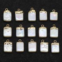 Pendentifs perlières d'eau douce, perle d'eau douce cultivée, avec fer, dorure, blanc, 12-14mm Environ 1mm Vendu par lot