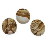 Picture Jasper Cabochon 