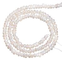 Freshwater Pearl Beads, Flat Round, natural, white, 2.8-3.2mm Approx 0.8mm Approx 15 Inch 