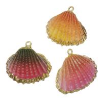 Pendentifs de coquille en laiton, avec coquille, Placage de couleur d'or, bijoux de mode & teints, plus de couleurs à choisir, 26-30x25-26x9-10mm Environ 2mm, Vendu par PC