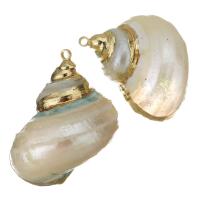 Pendentifs de coquille en laiton, avec coquille, Placage de couleur d'or, bijoux de mode, 24-25x28-30x19-22mm Environ 1.5mm, Vendu par PC