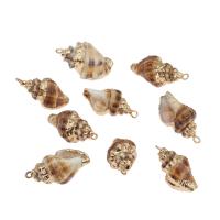 Brass Shell Pendants, with Brass, Conch, gold color plated Approx 2mm, Approx 