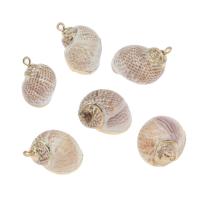 Brass Shell Pendants, with Brass, Conch, gold color plated Approx 2mm, Approx 