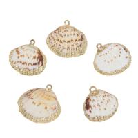 Brass Shell Pendants, with Brass, gold color plated, white Approx 2mm, Approx 