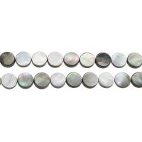 Perles de coquillage noir Lip, coquille noire, Plat rond Environ 1mm Environ 14.9 pouce, Vendu par brin