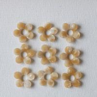 Feuille d'acétate composant de boucle d'oreille goutte, fleur, DIY, beige, 23mm Vendu par sac