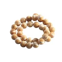 Trochus Beads, Round, polished, random style & DIY original color 