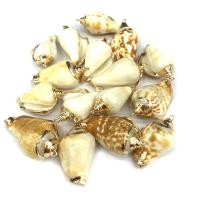 Trompette Shell pendentif en laiton, coquille de trompette, conque, Placage de couleur d'or, DIY, couleurs mélangées, 20*35mm~25*45mm, Vendu par PC