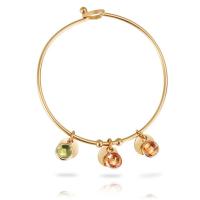 Edelstahl Charm Armband, goldfarben plattiert, zufällig gesendet & Dezember Birthstone & unisex & mit Brief Muster, 2mm,12mm,10mm,9mm, Innendurchmesser:ca. 60mm, verkauft von PC