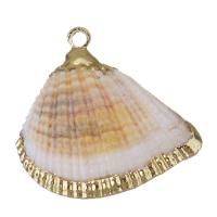 Brass Jewelry Pendants, Shell, with Brass, Shell, gold color plated, DIY, white Approx 1.5mm 